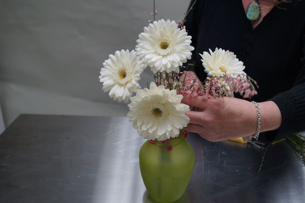 Fill in with ginestra.