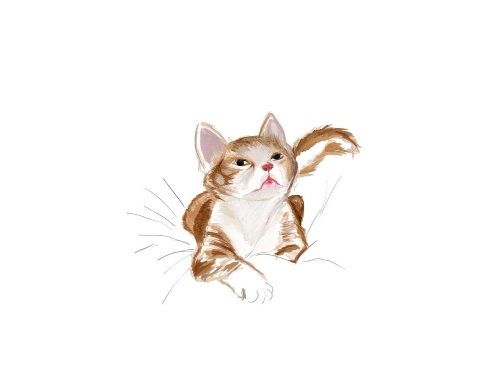 Fill in your colors starting from the lightest color to the darkest. Always separate your colors in LAYERS in photoshop. It helps in making changes easily without having to pull your hair out.