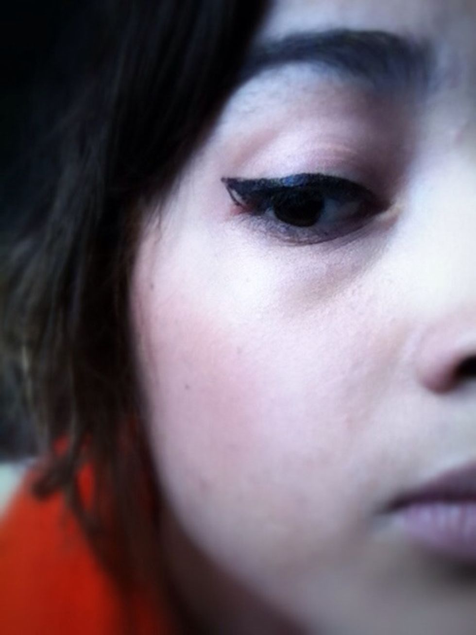 Fill in your sections and Fix any little mistakes. you want the outside line to be aligned with your lower lash line