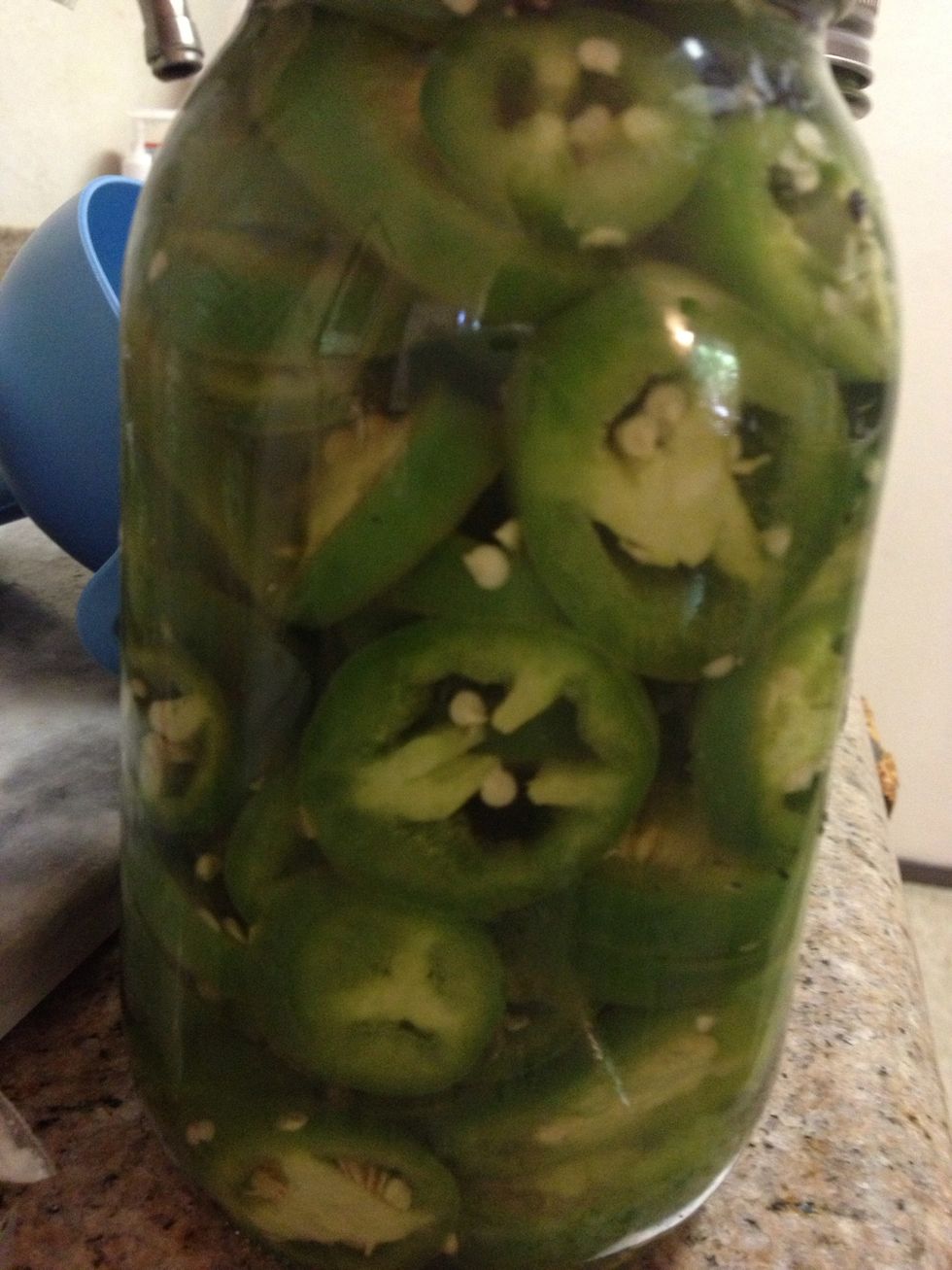 Fill jar with mixture making sure all jalepenos are covered. Seal and shake to distribute flavors.