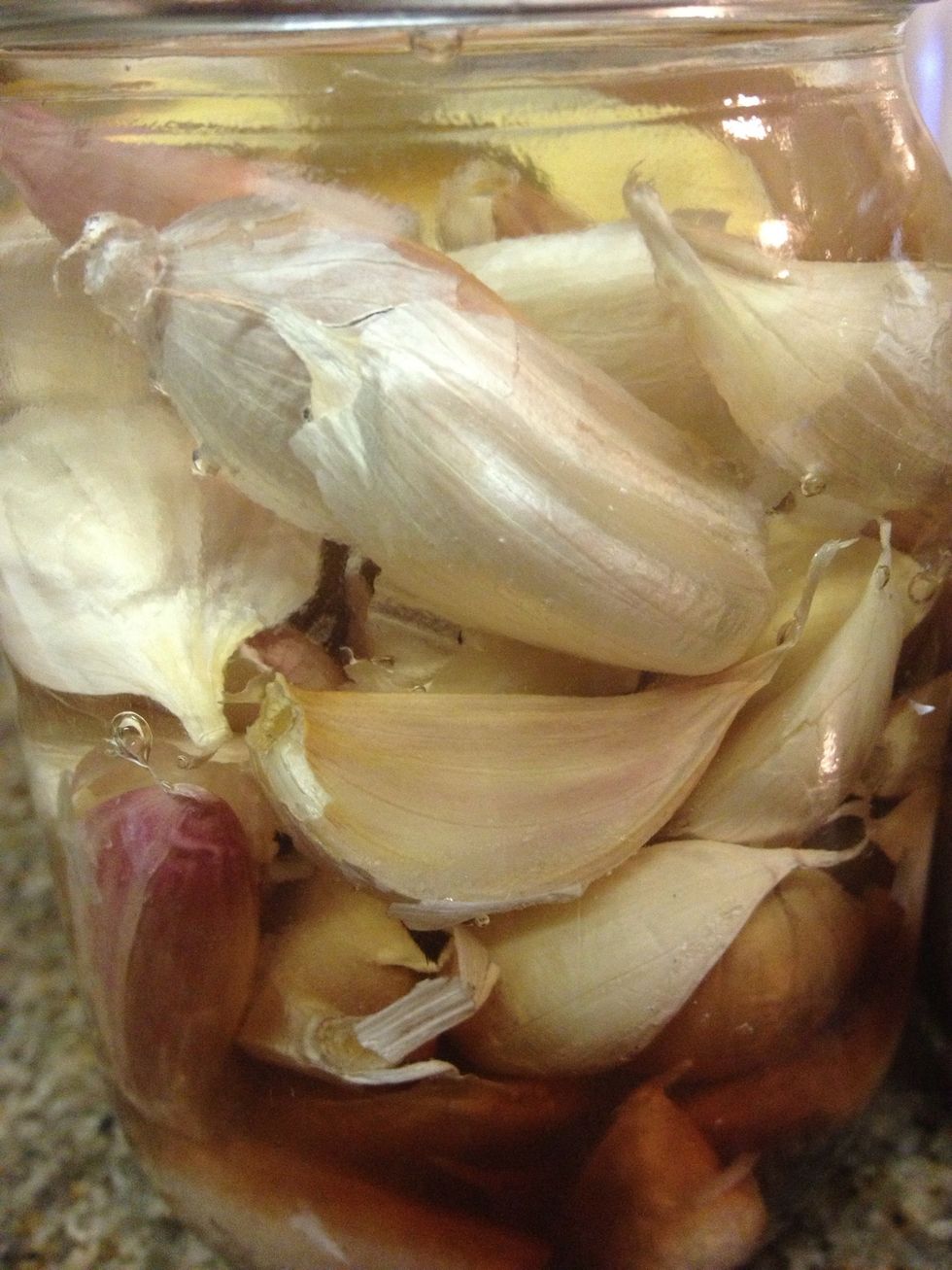 Fill jar with vinegar of your choice. Some use balsamic, malt, cider, or plain old white. I used 1 tbsp of balsamic and the rest white vinegar. Cover cloves up to the top in vinegar.