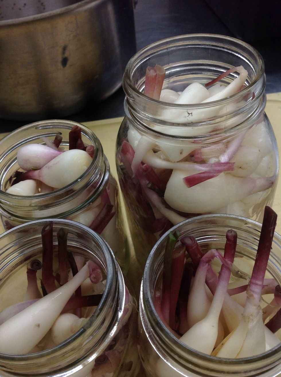 Fill jars with ramp bulbs