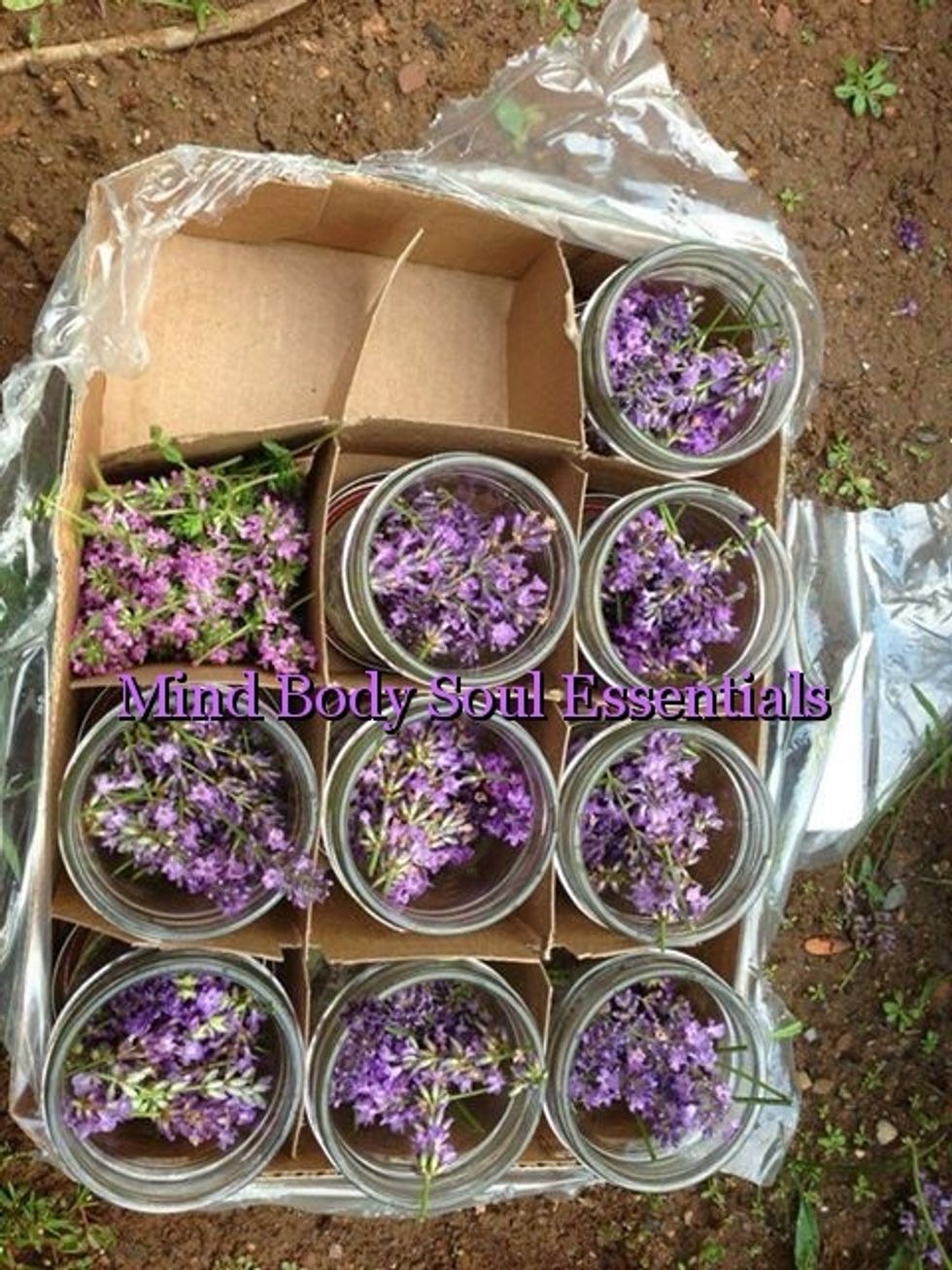 Fill Mason jars to the top with the flowers & buds