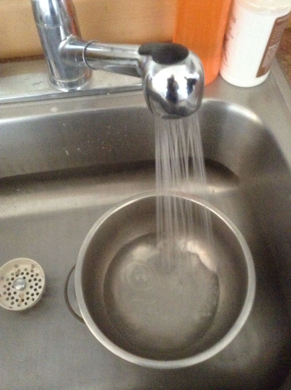 Fill medium sized bowl half full of water