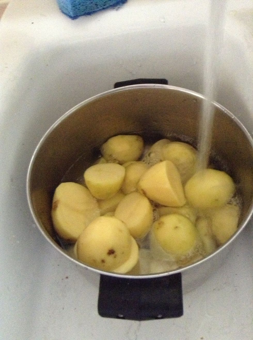 Fill pot with water.