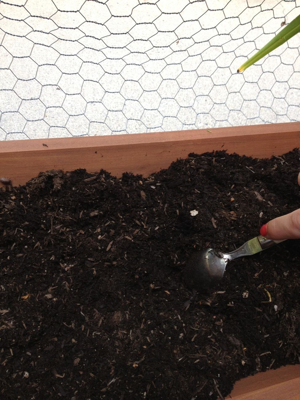 Fill soil close to the top, and turn around the soil if you used just whatever you had laying around like I did. I found it was much more moist underneath, so this helped even it out.