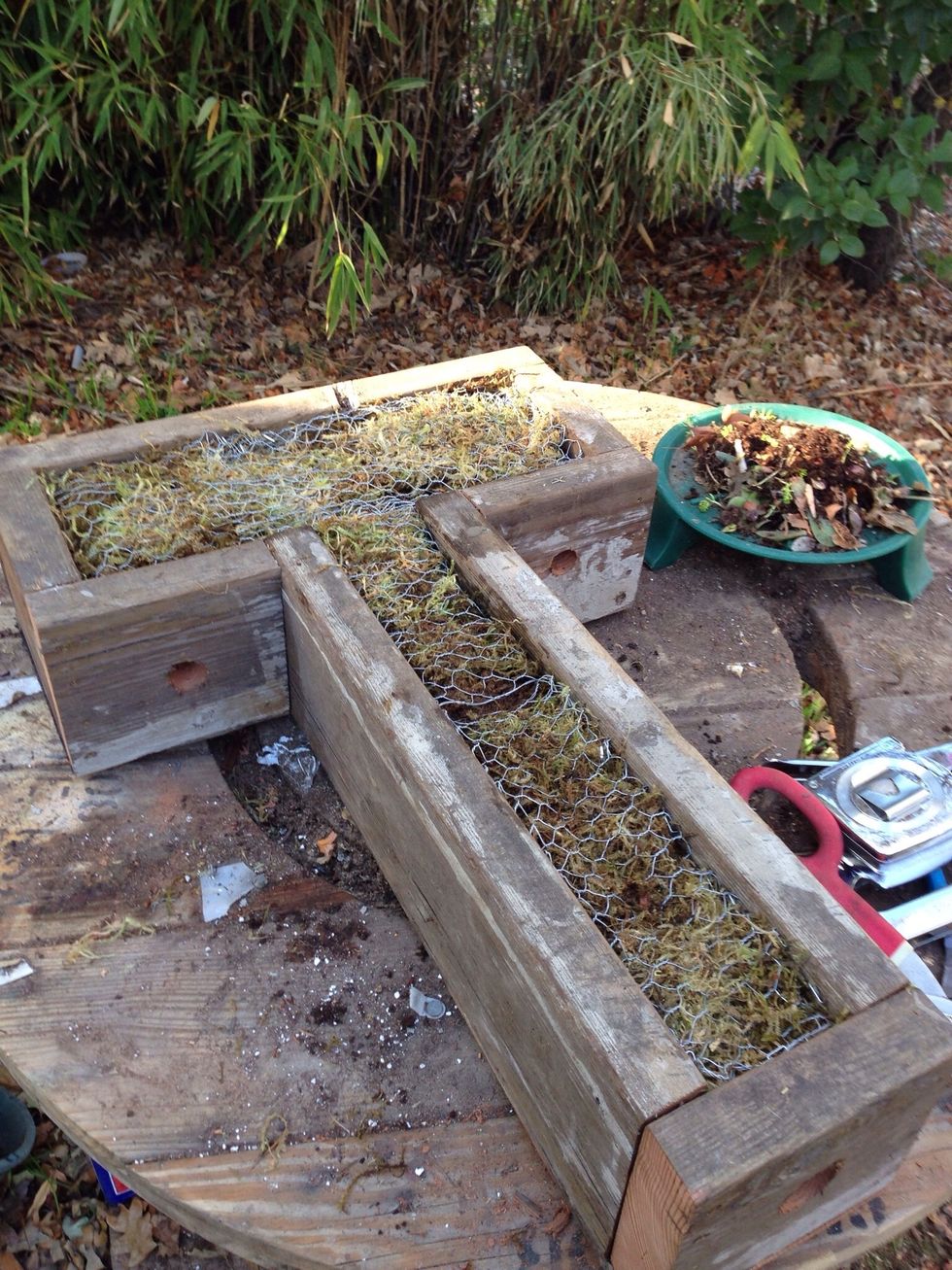 Fill space with half succulent soil and half moss. Then use chicken wire to hold it in.