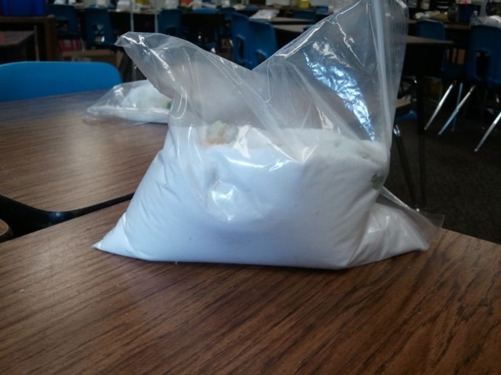 Fill the Baggie enough to cover both the Pharaoh and the internal organs.  Leave baggies in an accessible place for students to observe mummies.
