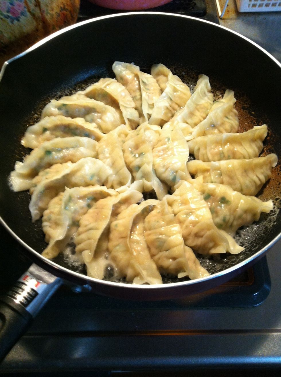 How to cook gyoza B+C Guides