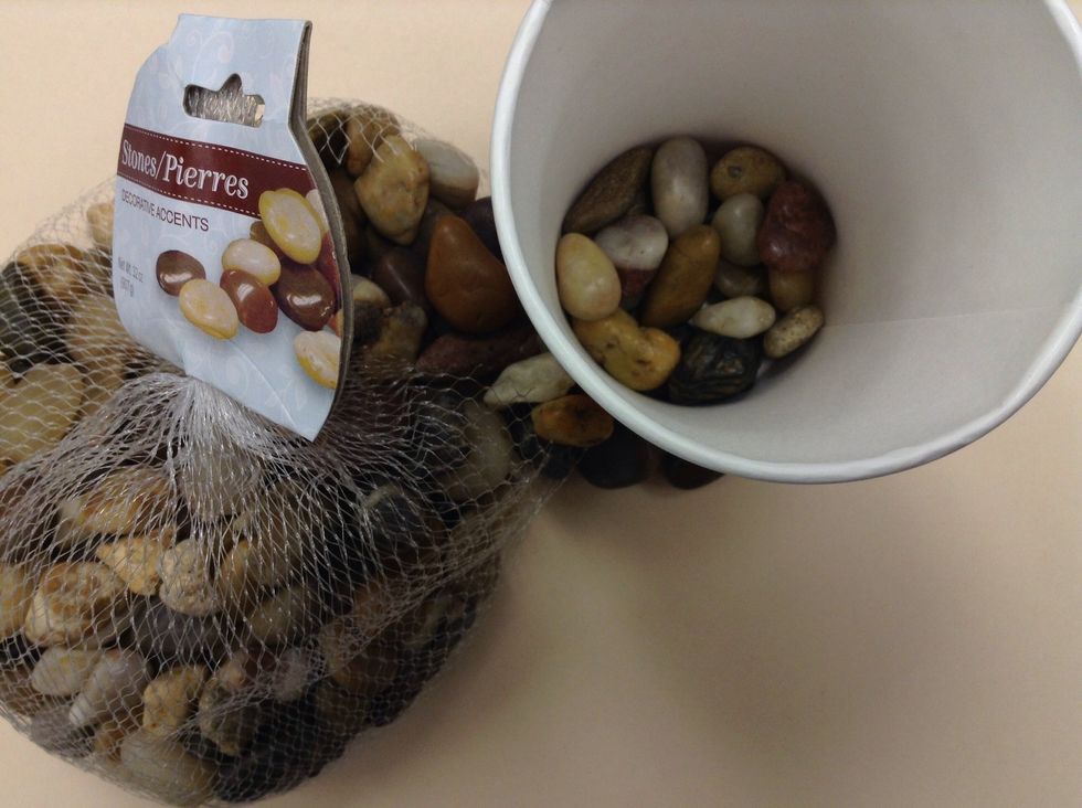 Fill the cup with about 1/3 of the rocks.