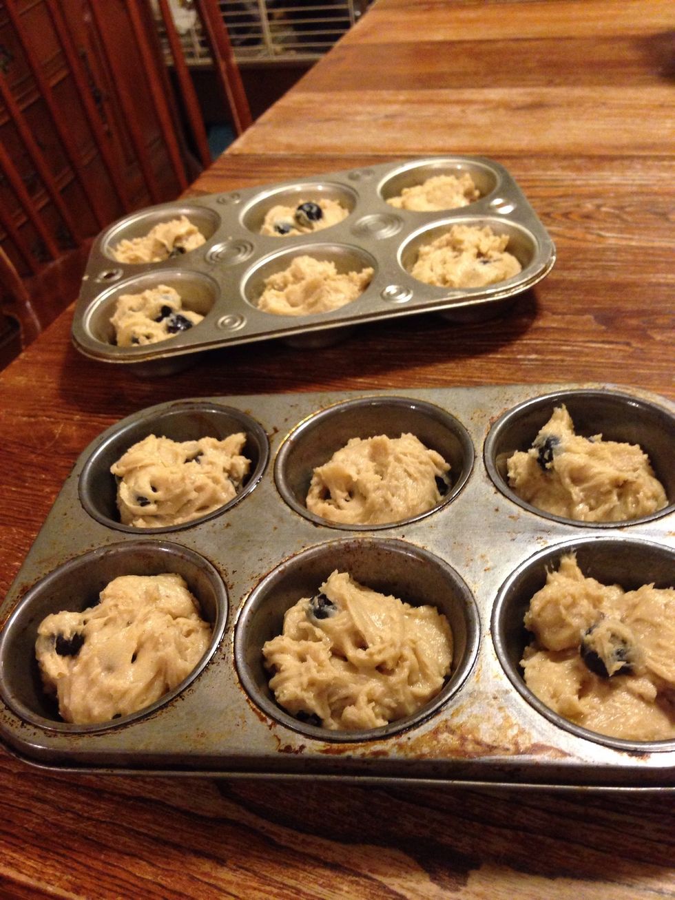 Fill the cups about 3/4 full