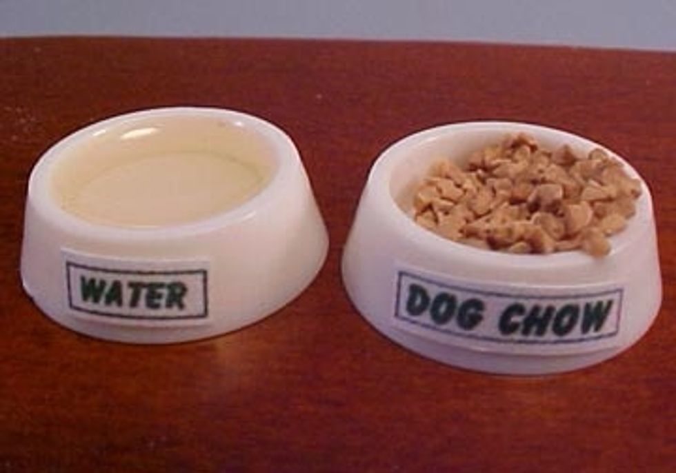 Fill the dog dishes with food and water