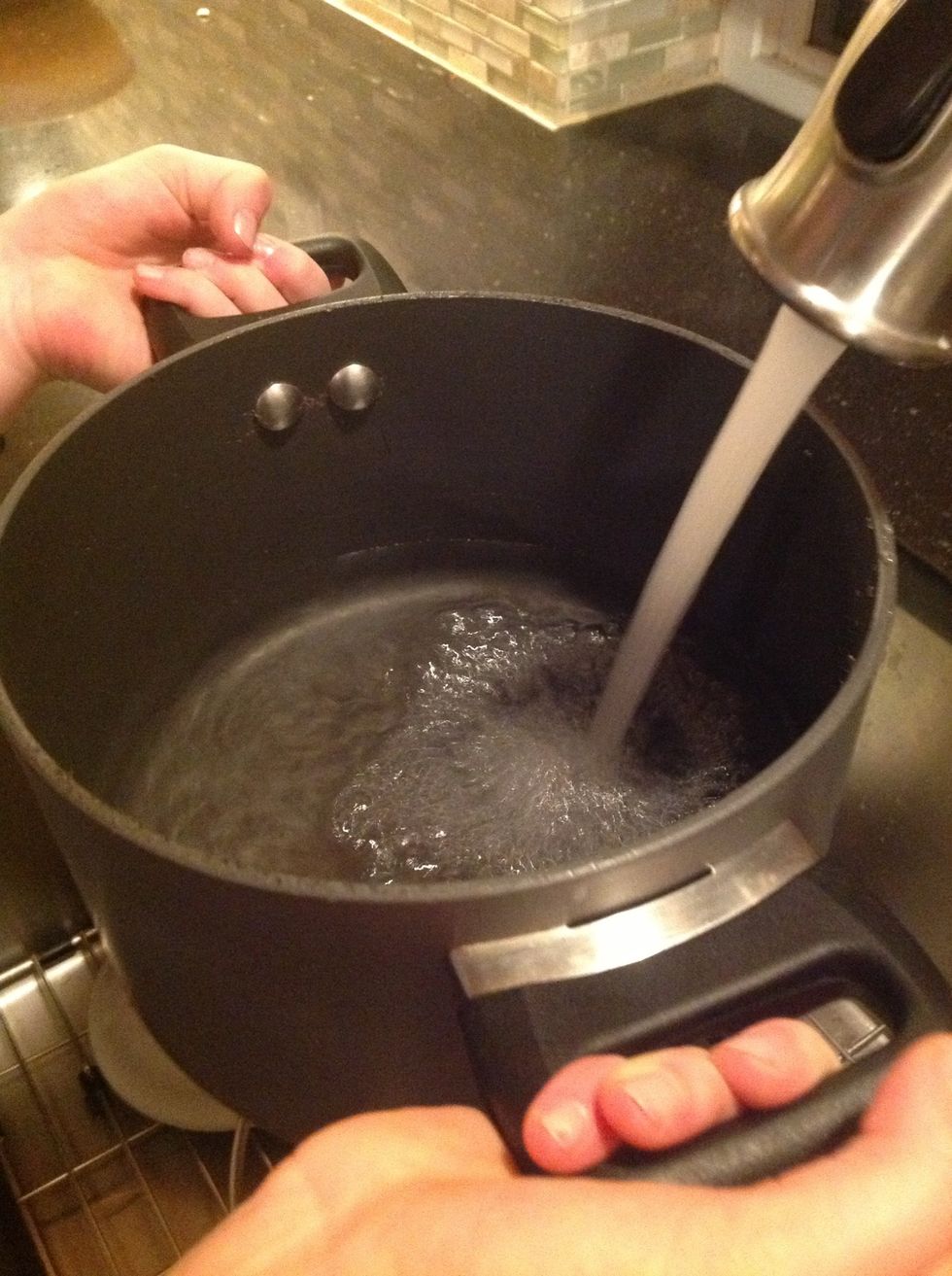 Fill the pan with 6 cups of water.