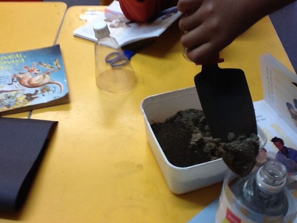 Fill the rest of the drink bottle with sand and soil.