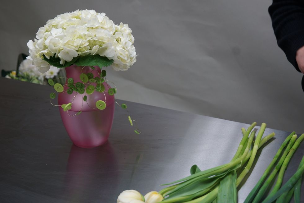 Fill vase with water and insert hydrangea.