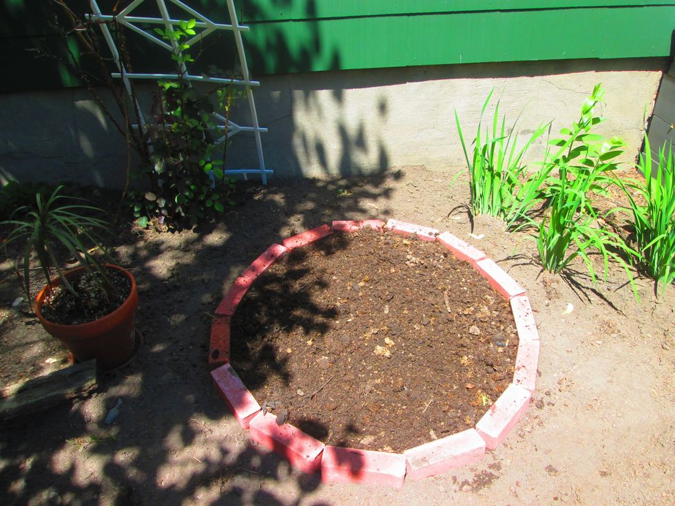 Fill with organic compost or soil. It's easy & inexpensive to have your own on hand, or, of course, you can pick some up at the store.