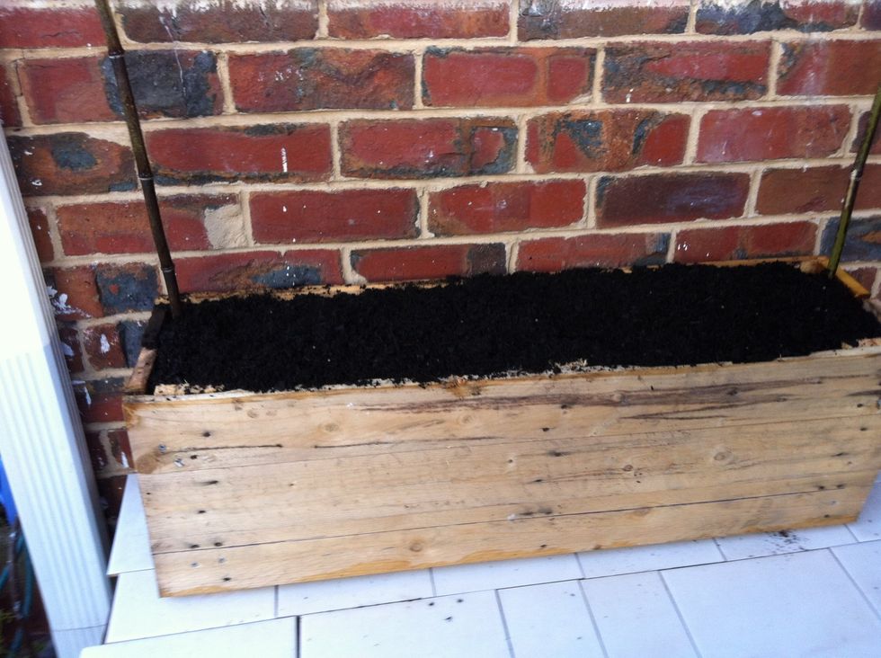 Fill with potting mix.