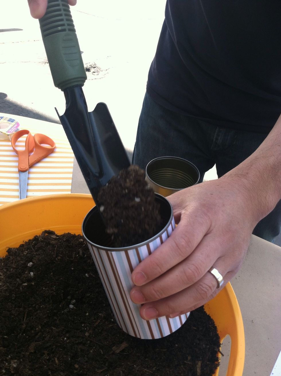 Fill your can with dirt. Depending on how large your plant is, fill about 1/2 to 3/4.