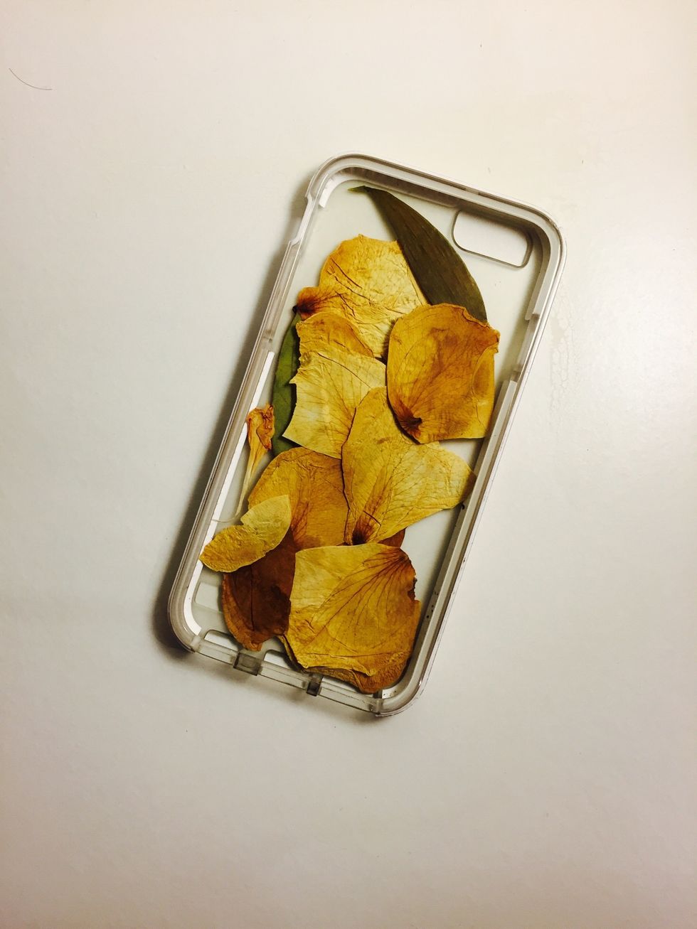 Fill Your Case Until It Looks How You Want, Don't Lift To Check! The Awesome Thing Here Is We Aren't Using Glue, So You Can Always Rearrange.