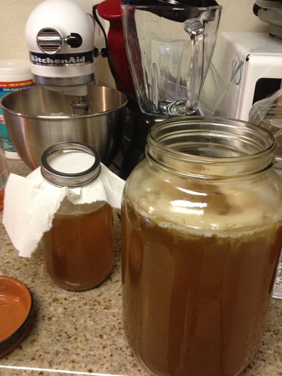 Fill your jar, leave some room at the top of the jar.