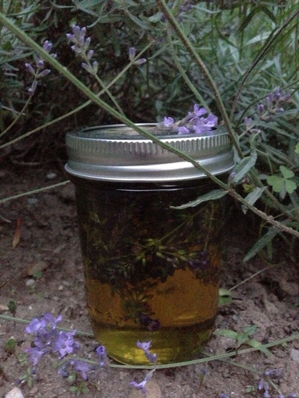 Fill your jar to the top with your Carrier Oil If the jar is not filled to the top, mold will grow in the air space left Remember:  Infused oils in Olive Oil resist rancidity at cool room temperature