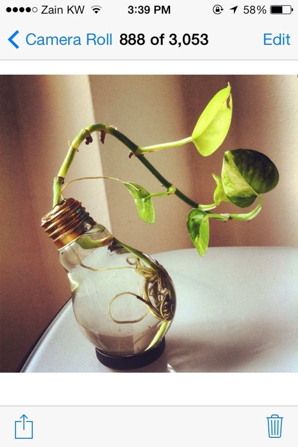Final assembly of the repurposed light bulb. A pretty glass plant holder \ud83d\udca1