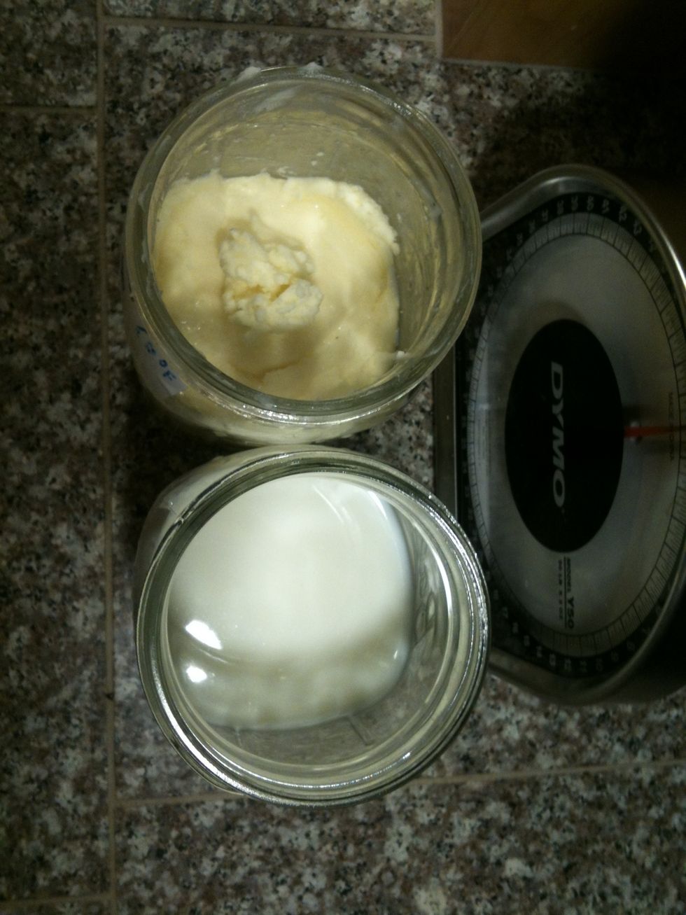 Final products. Refrigerate or bake with fresh cultured butter. If you need more buttermilk then; add milk to buttermilk and sit to ripen or freeze buttermilk in ice cube tray.