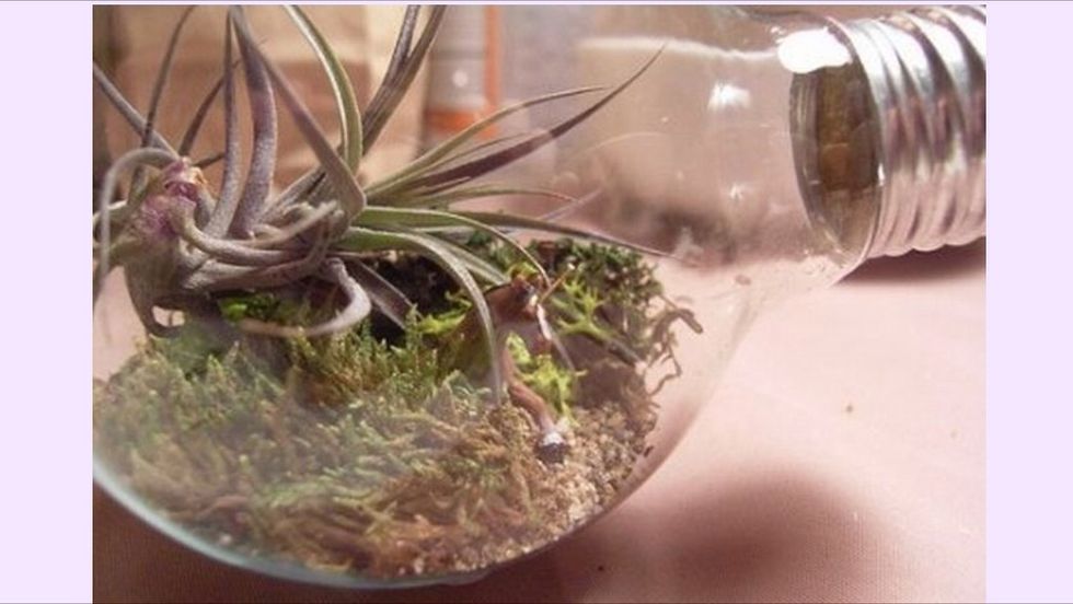 Finally it will look beyutfull.