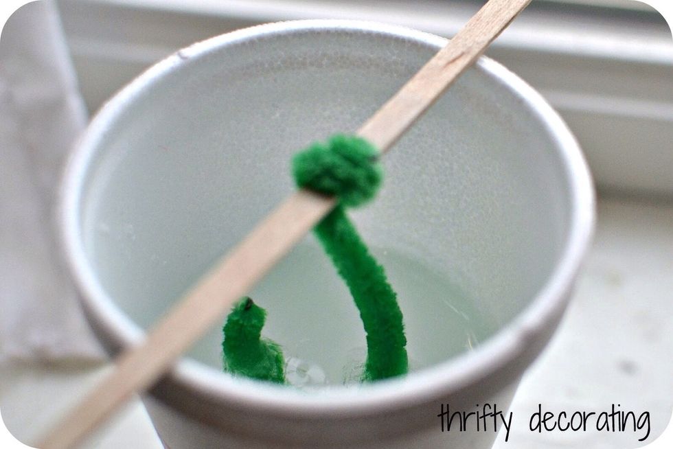 Finally, put the craft stick in the cup. Wait one day then it should be done. Tip: If the crystal is not crystalized enough wait one more day.