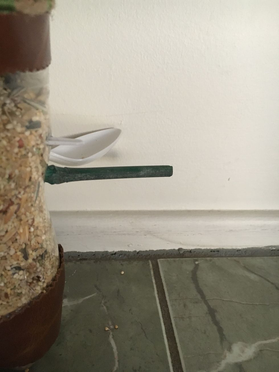 Finally, use a small knife and create 2 small holes on one side of each spoon. Place 7mm bamboo in each of the holes which act as a platform for the bird to consume the seeds