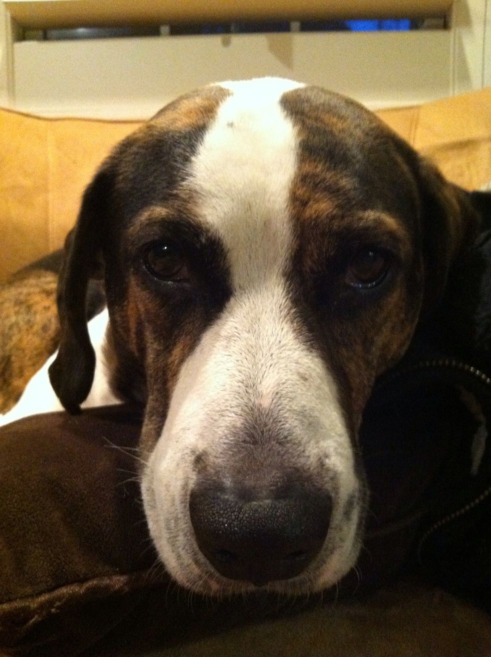 Finally, with all the love you can muster say the following, "I am sorry if I did anything to hurt you".