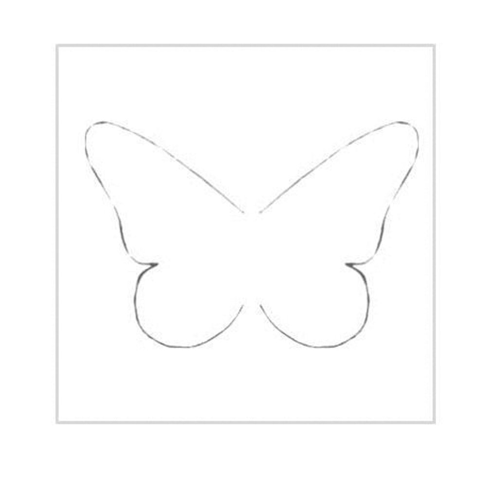Find a butterfly you would like on your wall.
