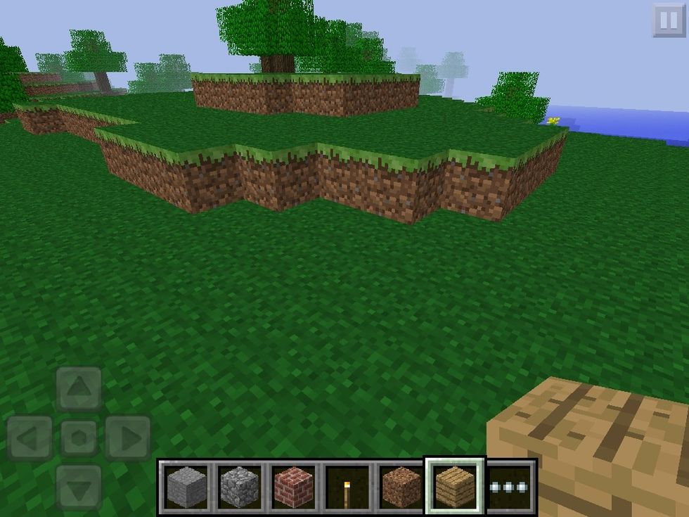 Find a flat or near flat area