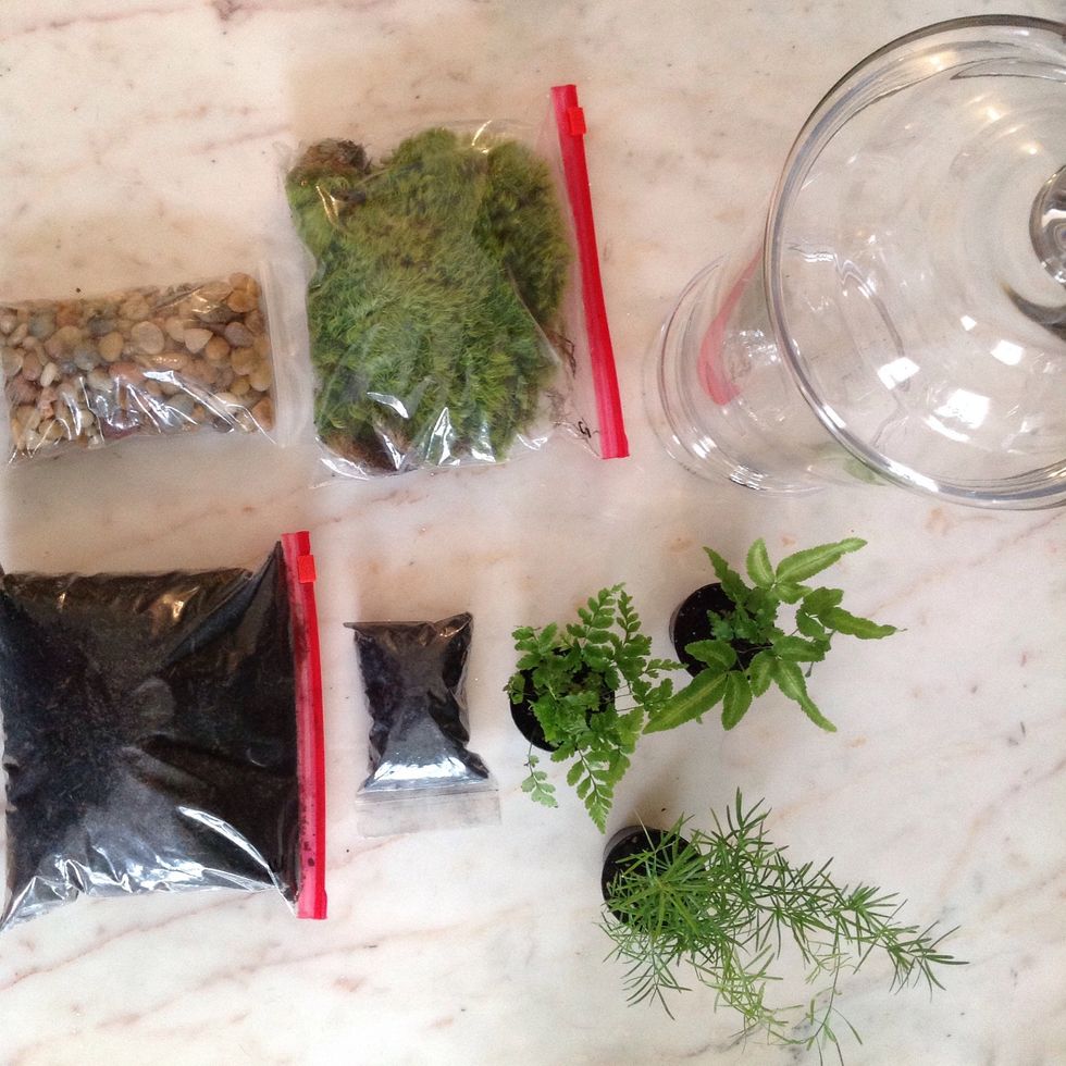 Find a great container with a lid, even a mason jar will work. Lay out your materials and get ready to get your hands dirty!