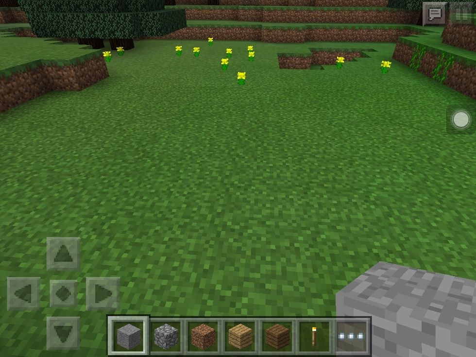 Find a nice open space