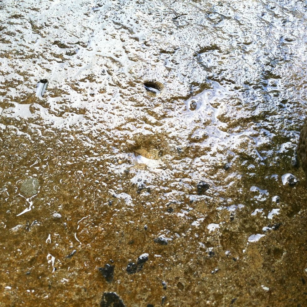 Find a rock or piece of concrete with a round divot.