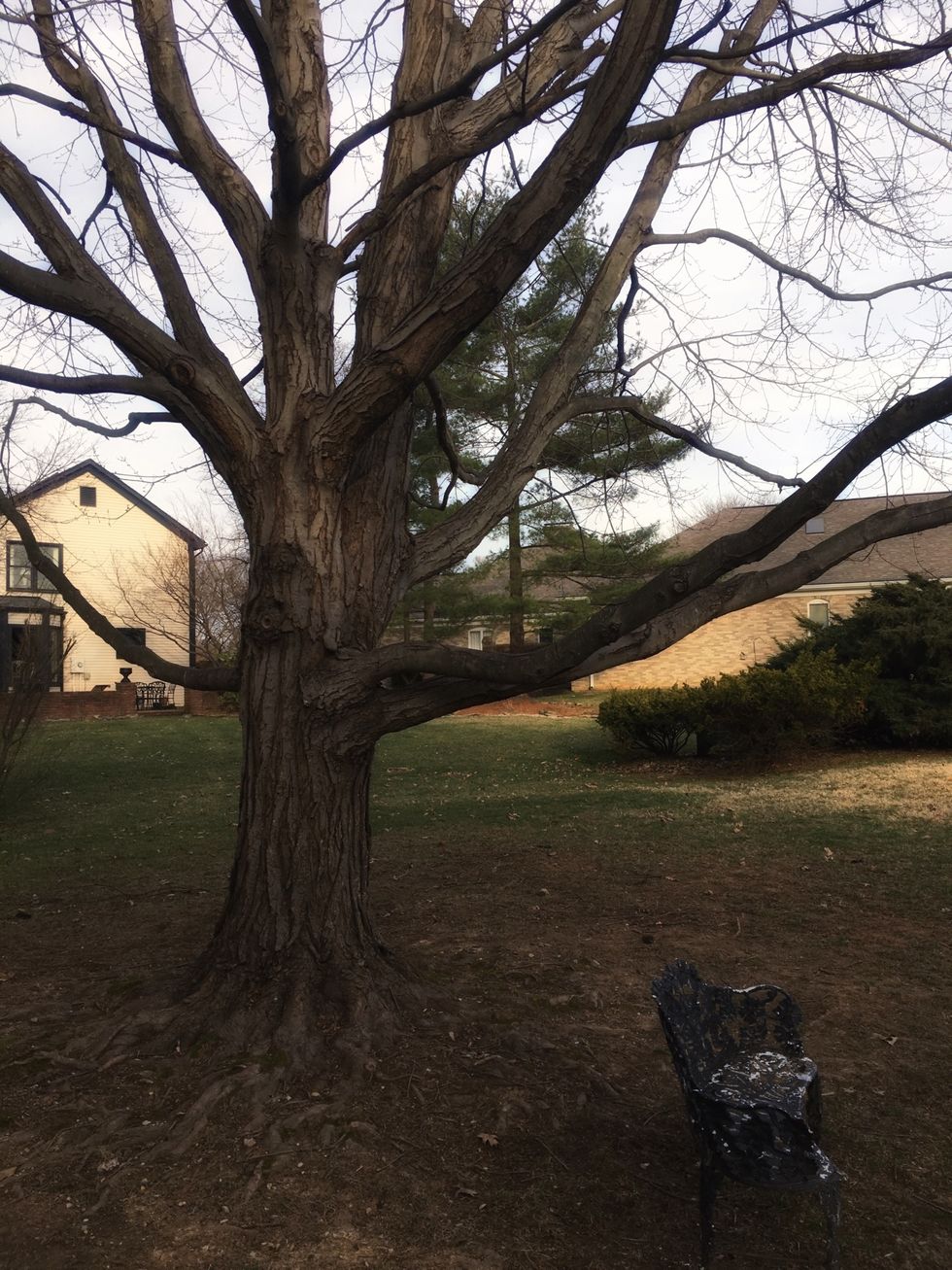 Find a spot outside which will support you and your Eno when hung up.