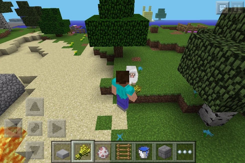 Find an animal (in this case a sheep) and hold their food. (If you don't know how to make animals follow you, just simply look at that other wonderful guide of mine).