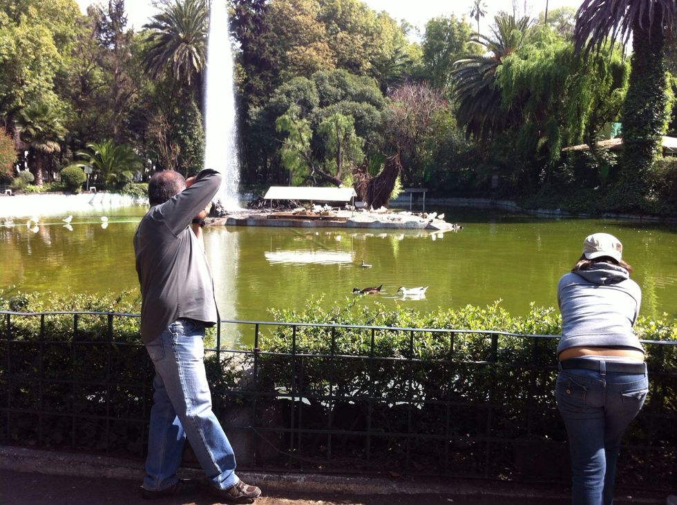 Find the best iso first in outdoors, iso 100 to 400 is the best choise!