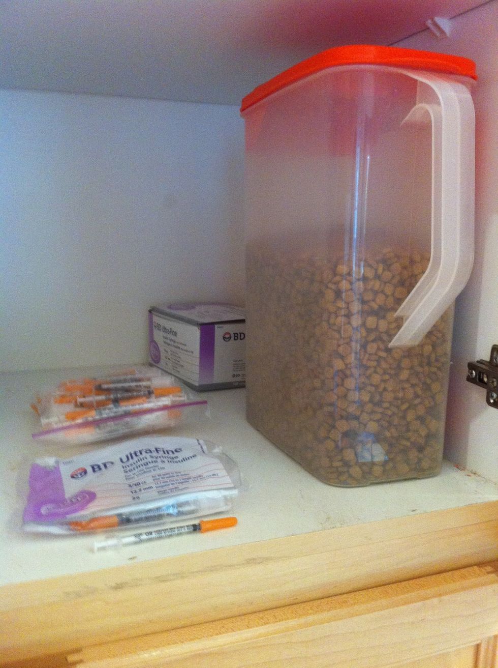 Find the dry food and the needles in the pantry cupboard