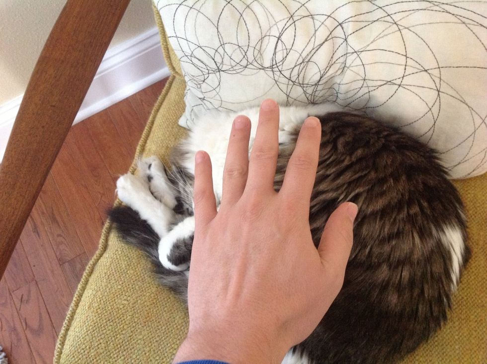 Find the hand