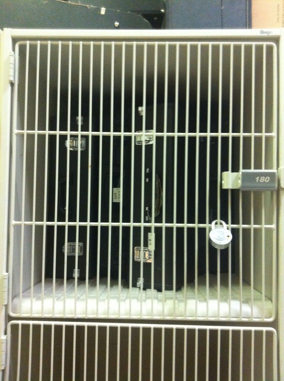 Find the instrument in its locker: 180- Trumpets | 167- Flutes and Clarinets | 195- Trombone and B. Clarinet | 169- Saxophones