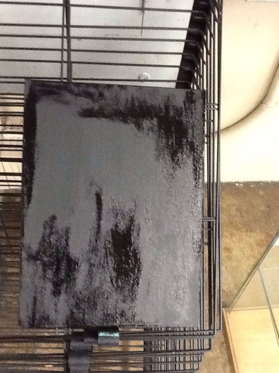 Finish it and let it dry