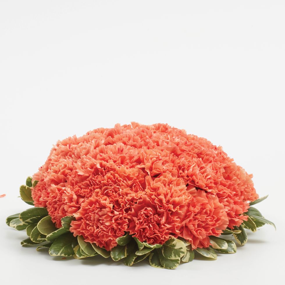 Finished carnation dome.