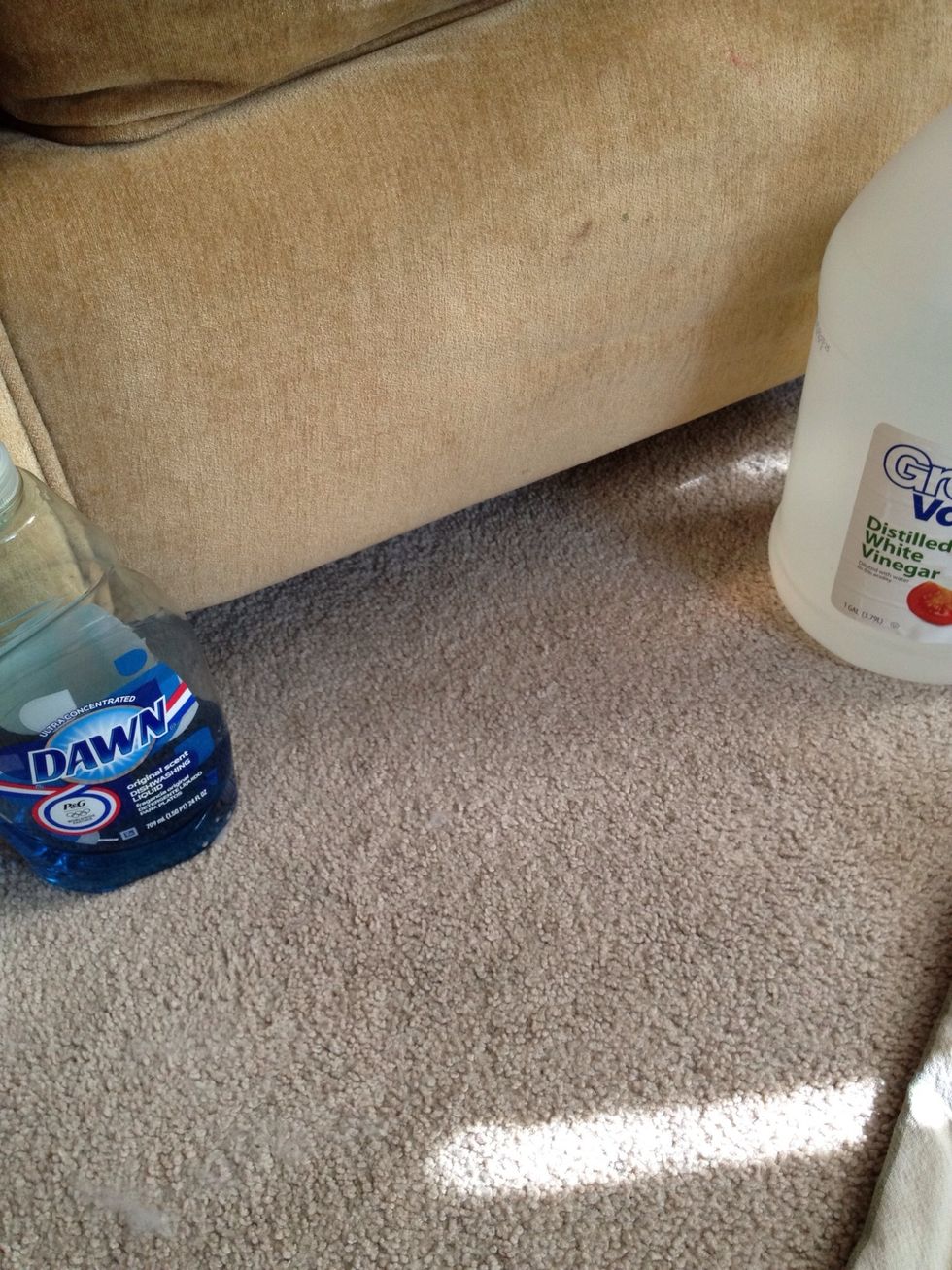 How to make diy carpet spot cleaner - B+C Guides
