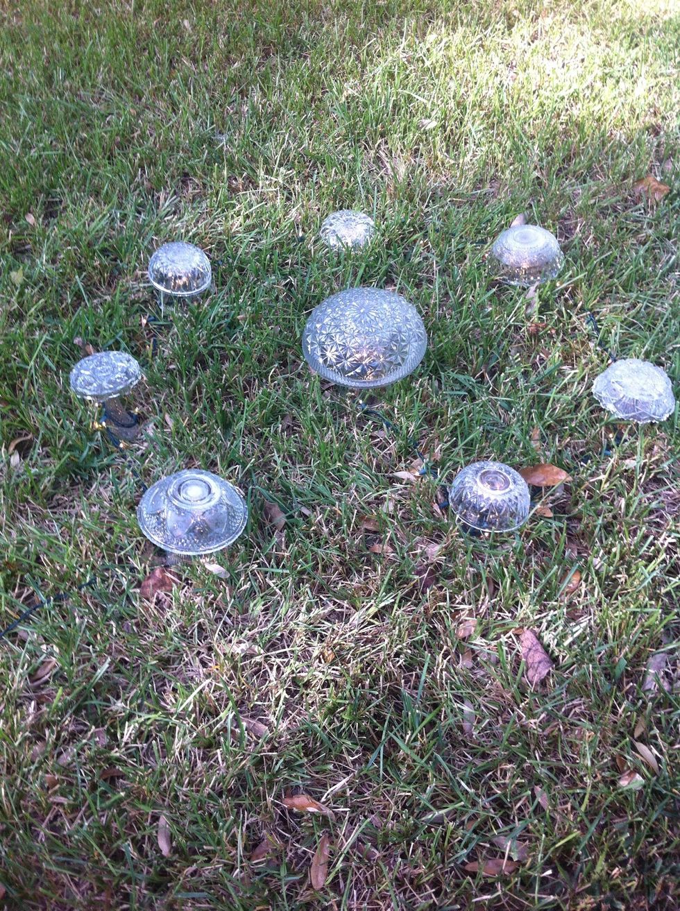 FINISHING TOUCH: Make sure everything is fairy perfect. Tuck lights between mushrooms deep into grass or cover with leaves.