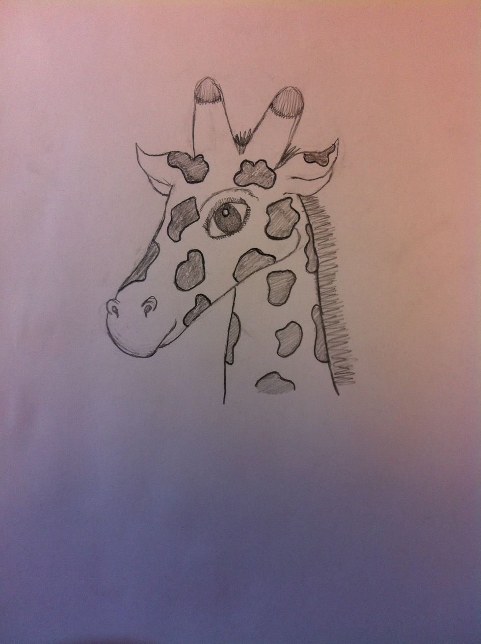 Firmly outline the spots.
