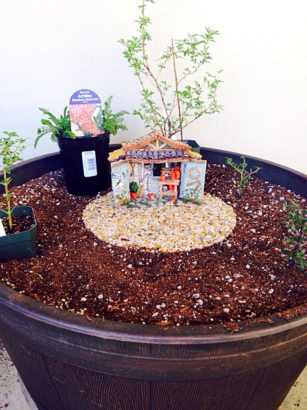 First arrange your plants on top to find a place for each one. Take a picture to remember as you go
