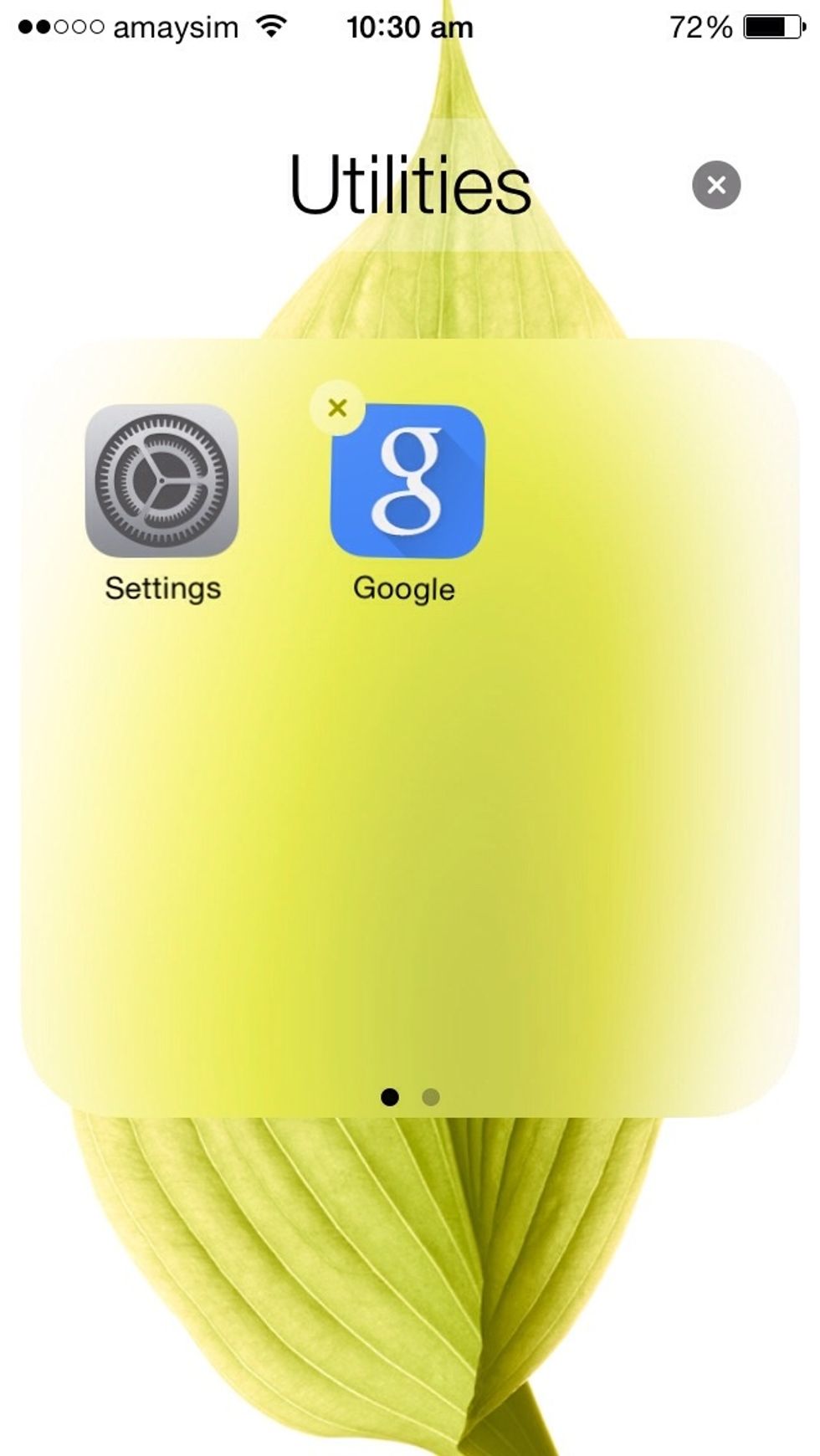 First bring the app you want and a random app to create a folder