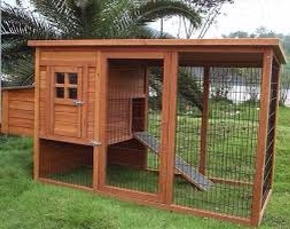 First buy you coop from a pet shop set up your coop in a corner of your yard, let there be some sun for the chickens and put some hay on the ground and a little bit in the enclosed box for laying eggs